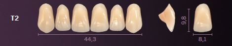 T2-D4 PREMIUM TEETH UPPER ANTERIOR