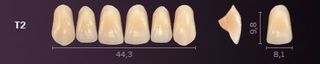 T2-D4 PREMIUM TEETH UPPER ANTERIOR