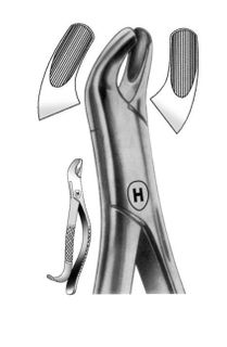 EXTRACTION FORCEPS AMERICAN 24
