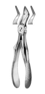 EXTRACTION FORCEPS CHILD UPPER ROOTS 4