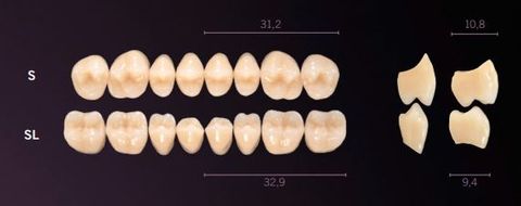 S-A2U PREMIUM TEETH UPPER POSTERIOR