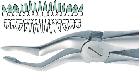 BERNARD BAYONET EXTRACTION FORCEP 153