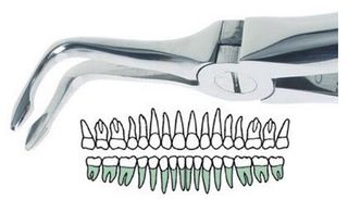 BERNARD BAYONET EXTRACTION FORCEP 146