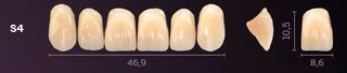 S4-A1 PREMIUM TEETH UPPER ANTERIOR