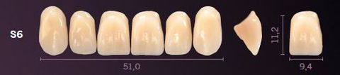 S6-A1 PREMIUM TEETH UPPER ANTERIOR