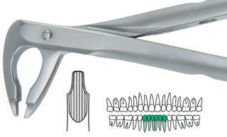 ATRAULUX LOWER ANT FORCEP 2