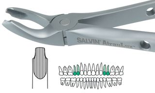 ATRAULUX UPPER PRE MOLAR FORCEP 3