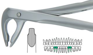 ATRAULUX LOWER PRE MOLAR FORCEP 4