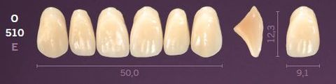 O510-D4 MONDIAL TEETH UPPER ANTERIOR