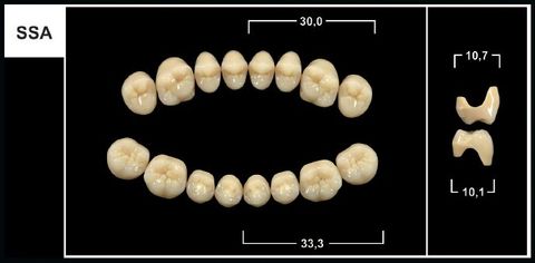 SSA A2 LOWER POSTERIOR TRIBOS TEETH