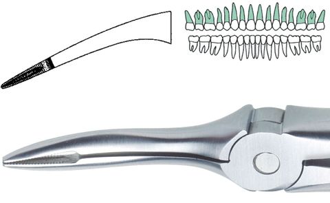 EXTRACTION FORCEPS ROOT TIP UPPER