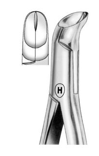 EXTRACTION FORCEPS LOWER THIRD MOL FIG 5
