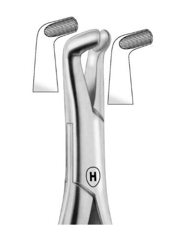 EXTRACTION FORCEPS LOWER THIRD MOLAR 222