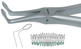 ATRAULUX LOWER ROOT FORCEP 5