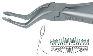 ATRAULUX UPPER ROOT FORCEP 6