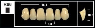 R66 B1 UPPER ANTERIOR TRIBOS TEETH