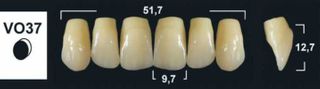 VO37 A1 UPPER ANTERIOR TRIBOS TEETH