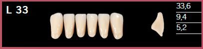 L33-C1 DELARA TEETH LOWER ANTERIOR