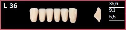 L36-D3 DELARA TEETH LOWER ANTERIOR