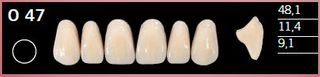 O47-B1 DELARA TEETH UPPER ANTERIOR