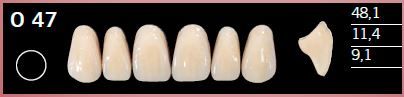 O47-C4 DELARA TEETH UPPER ANTERIOR