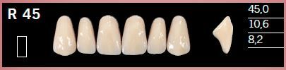 R45-A3 DELARA TEETH UPPER ANTERIOR