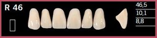 R46-A1 DELARA TEETH UPPER ANTERIOR