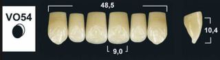 VO54 B1 UPPER ANTERIOR TRIBOS TEETH