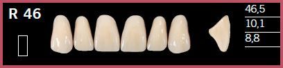 R46-B4 DELARA TEETH UPPER ANTERIOR