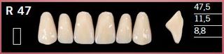 R47-A1 DELARA TEETH UPPER ANTERIOR