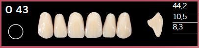 O43-A1 DELARA TEETH UPPER ANTERIOR