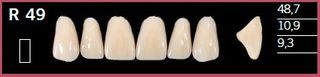 R49-C4 DELARA TEETH UPPER ANTERIOR