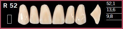 R52-A1 DELARA TEETH UPPER ANTERIOR