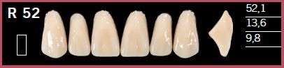 R52-A4 DELARA TEETH UPPER ANTERIOR