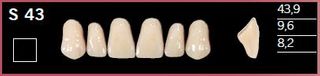 S43-A1 DELARA TEETH UPPER ANTERIOR