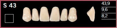 S43-A2 DELARA TEETH UPPER ANTERIOR