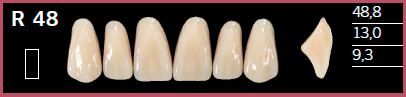 R48-B4 DELARA TEETH UPPER ANTERIOR