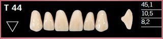 T44-A1 DELARA TEETH UPPER ANTERIOR