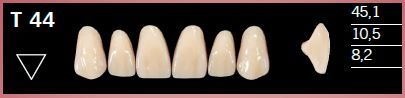 T44-A1 DELARA TEETH UPPER ANTERIOR