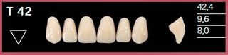 T42-D2 DELARA TEETH UPPER ANTERIOR