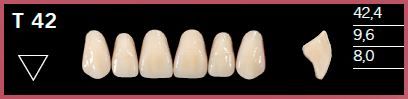 T42-D2 DELARA TEETH UPPER ANTERIOR