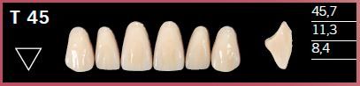 T45-A3 DELARA TEETH UPPER ANTERIOR