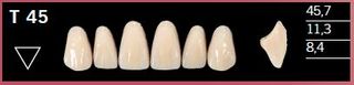 T45-A3.5 DELARA TEETH UPPER ANTERIOR