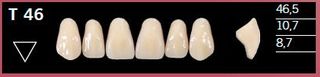 T46-A3 DELARA TEETH UPPER ANTERIOR