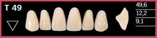 T49-B2 DELARA TEETH UPPER ANTERIOR