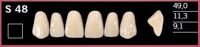 S48-B1 DELARA TEETH UPPER ANTERIOR