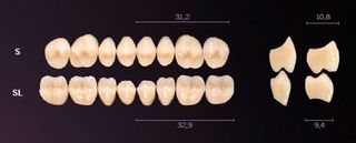 SL-A35L PREMIUM TEETH LOWER POSTERIOR