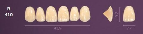 R410-B4 MONDIAL TEETH UPPER ANTERIOR