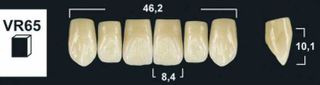 VR65 A35 UPPER ANTERIOR TRIBOS TEETH