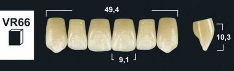 VR66 A1 UPPER ANTERIOR TRIBOS TEETH